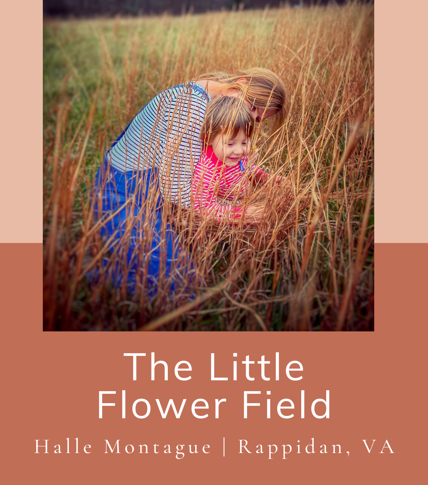 THE LITTLE FLOWER FIELD