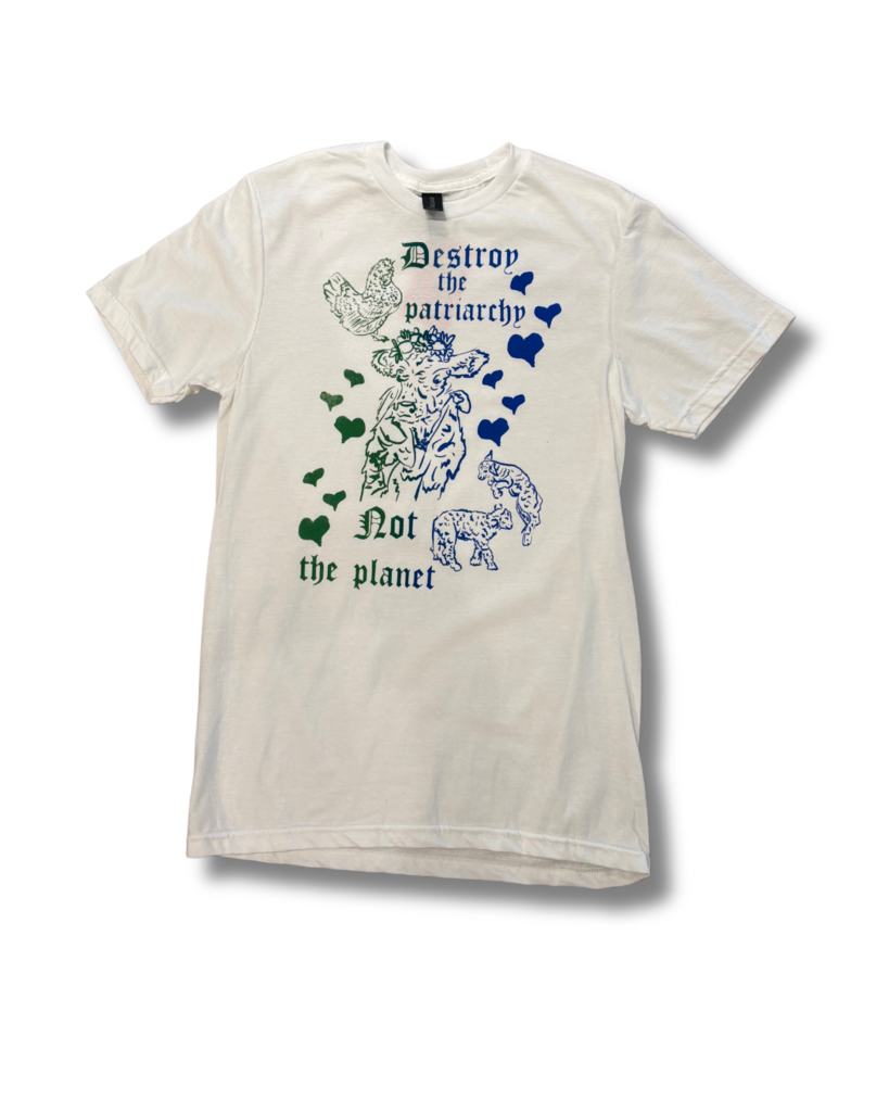 Destroy The Patriarchy Not the Planet T-shirt