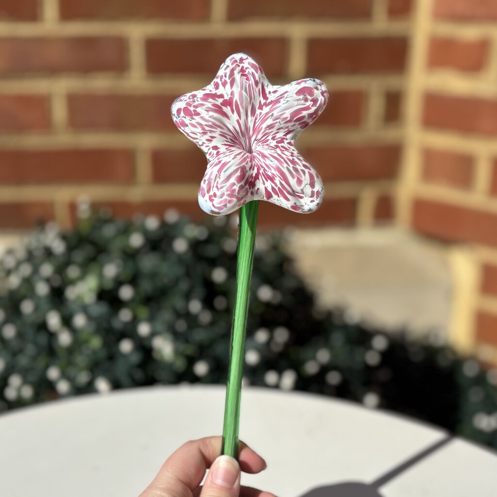 Glass Flower