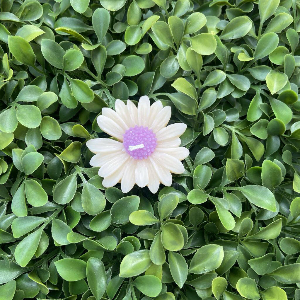 Daisy Candle