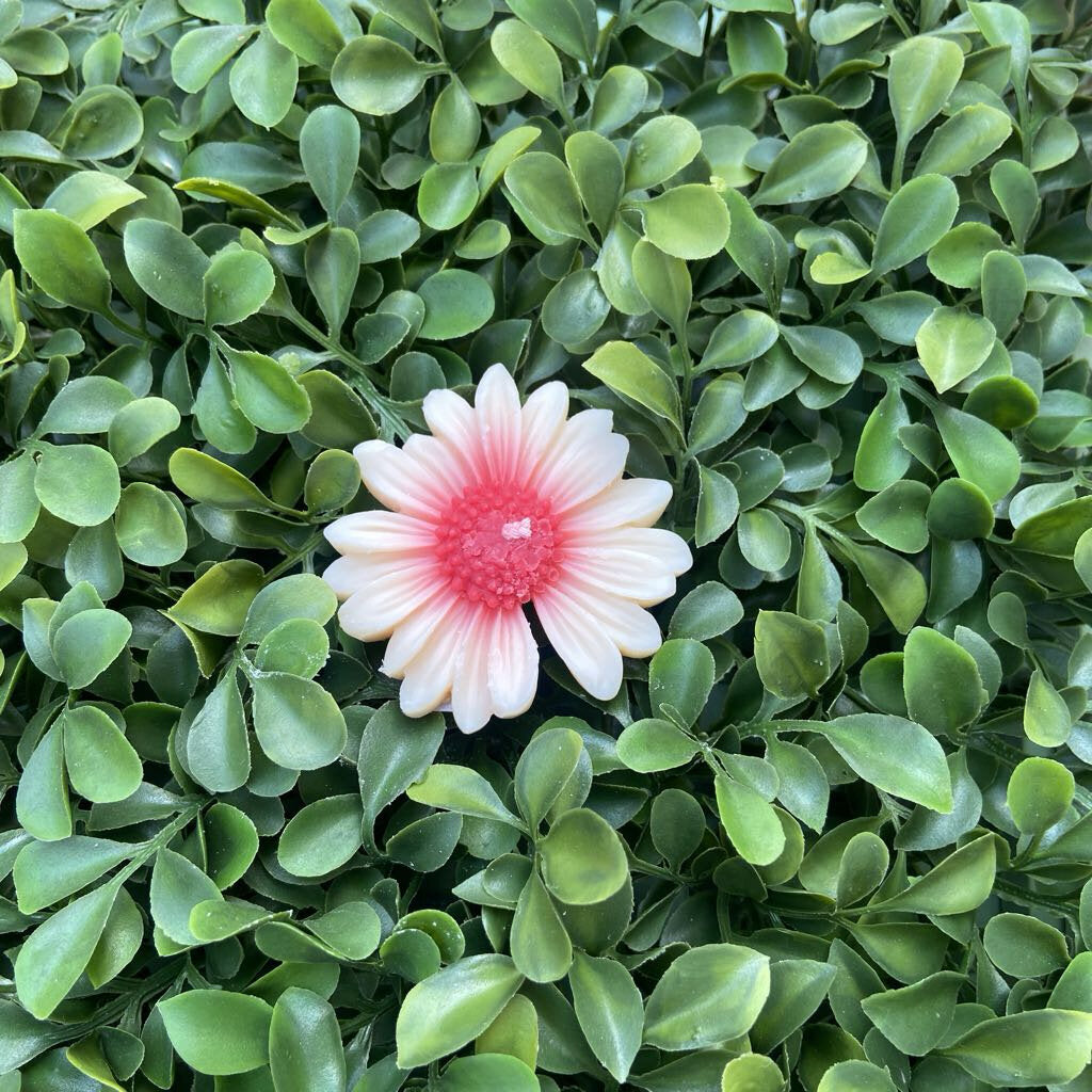 Daisy Candle