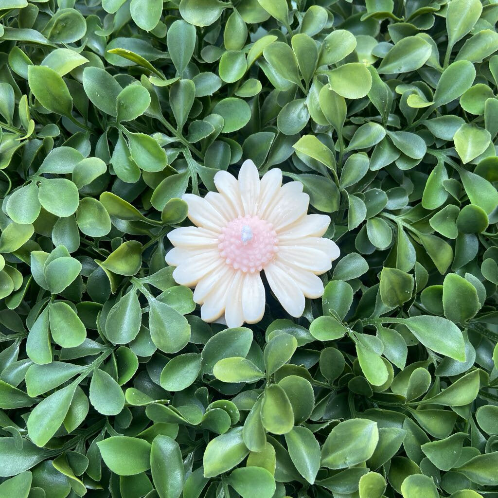 Daisy Candle