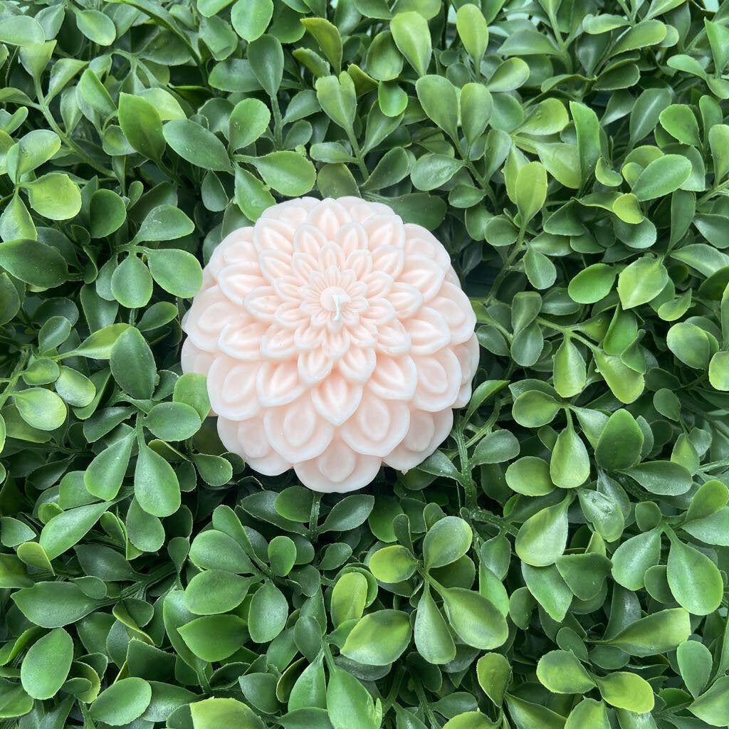 Dahlia Candle