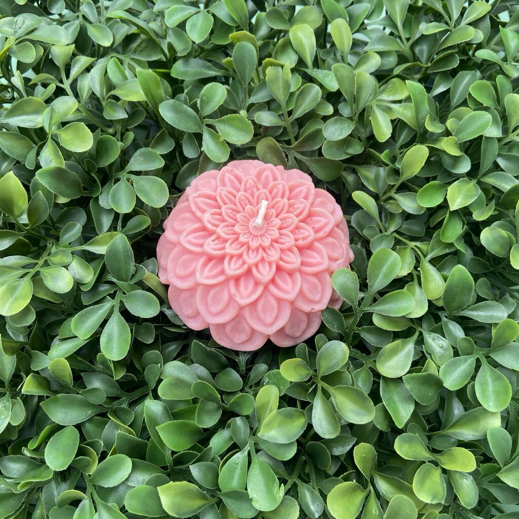 Dahlia Candle