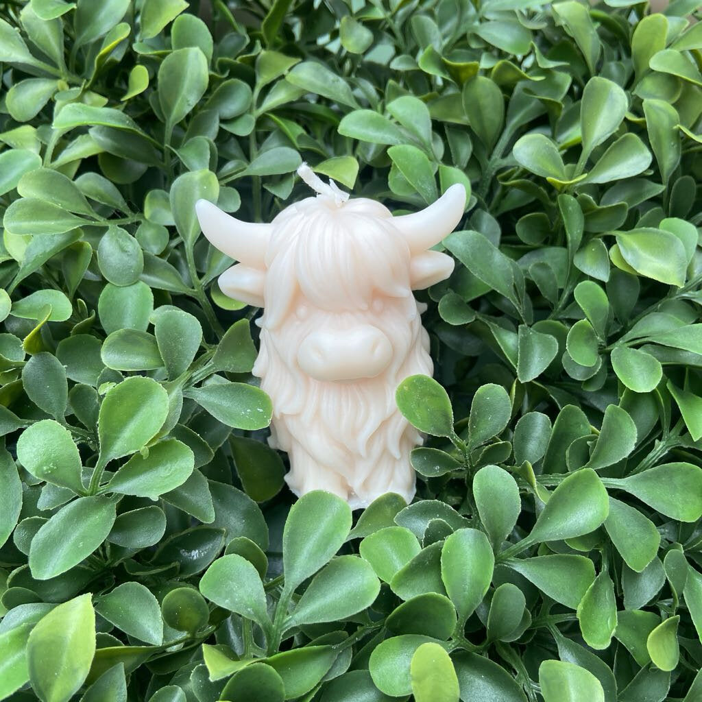 Highland Cow Candle