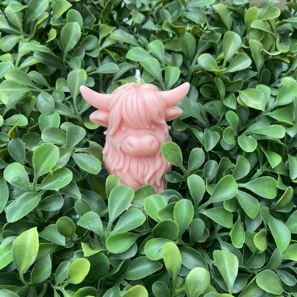 Highland Cow Candle