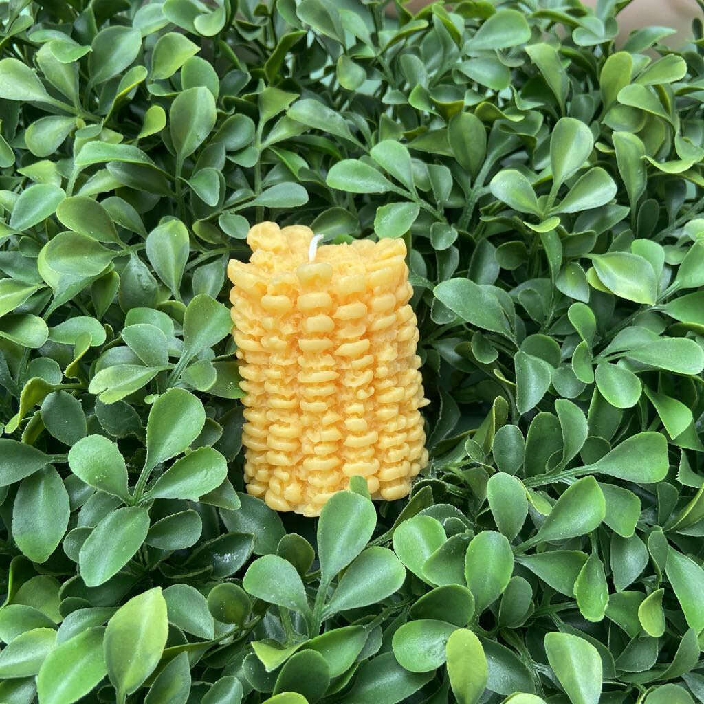 Corn Candle