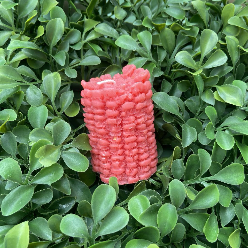 Corn Candle
