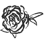 Sketch Illustration of a rose
