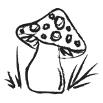 Sketch Illustration of a mushroom