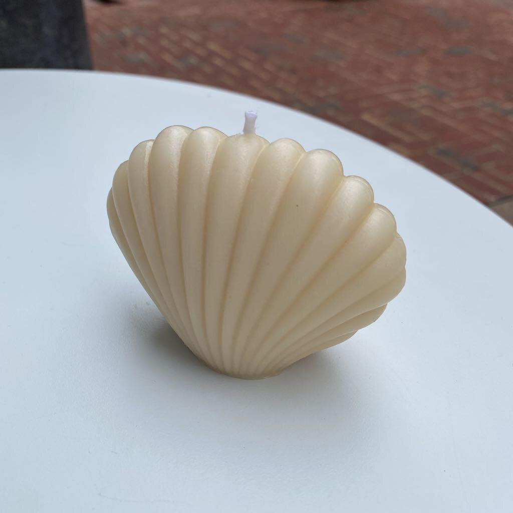 Shell Candle- Unscented